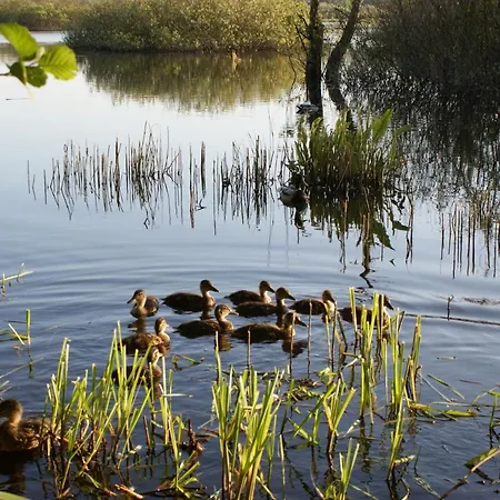 Holtur - Sanatorium Uzdrowiskowe Domek letniskowy Kołobrzeg