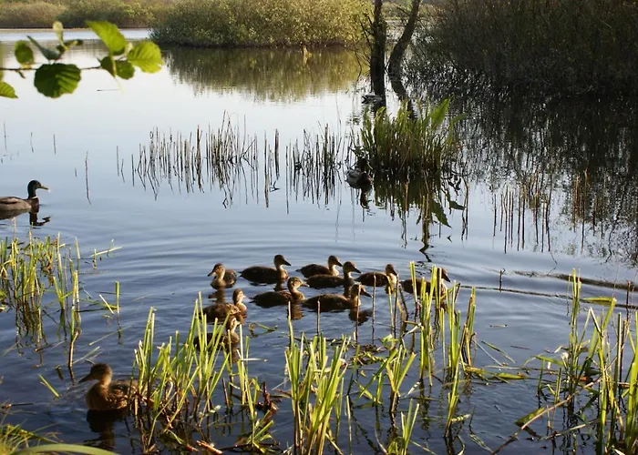 Holtur - Sanatorium Uzdrowiskowe 롯지 코워브제크