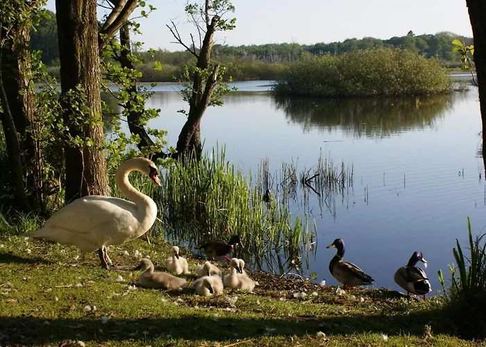 Holtur - Sanatorium Uzdrowiskowe 코워브제크