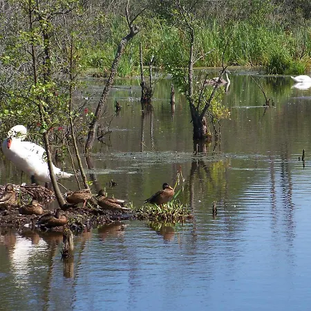 Lodge Holtur - Sanatorium Uzdrowiskowe