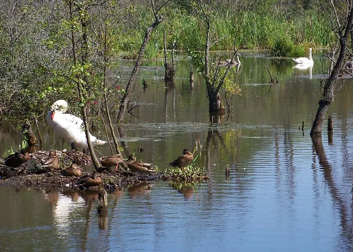 Lodge Holtur - Sanatorium Uzdrowiskowe